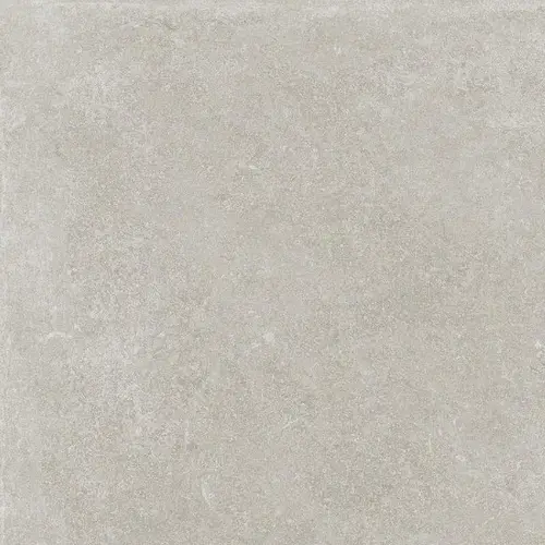 Silver 59,6х59,6