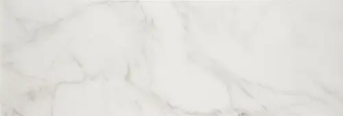 Licas Blanco 40х120