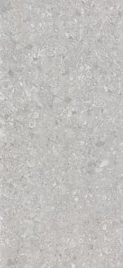 Ceppo Di Gre Light Grey Str 60x120