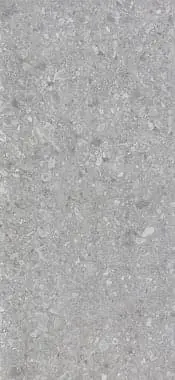 Ceppo Di Gre Mid Grey Str 60x120