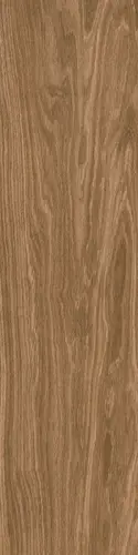 Ragno Escape Marrone 12,5x50