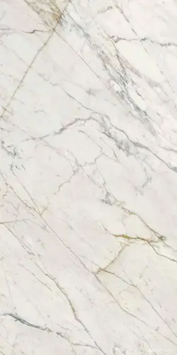 Ragno Maiora Calacatta Oro Glossy Rett 120x240