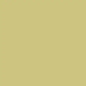 Rako Color One WAA19200 14,8x14,8