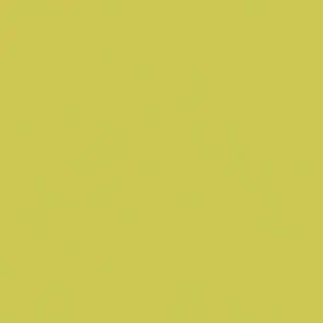 Rako Color One WAA19464 14,8x14,8
