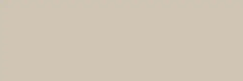 Rako Concept WAAVE108 19,8x59,8