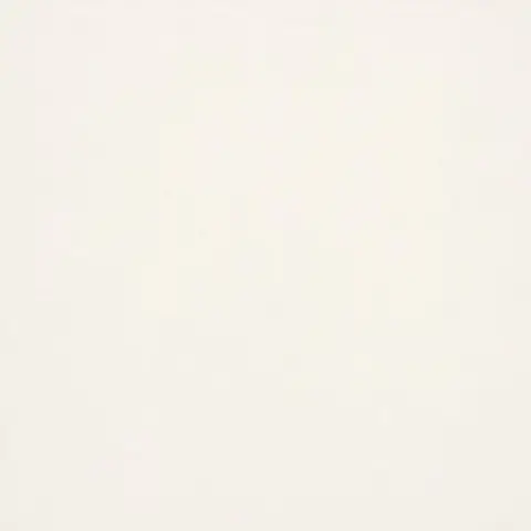 Rako Trend DAK44652 44,5x44,5