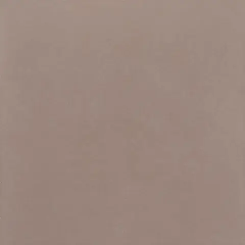 Rako Trend DAK44657 44,5x44,5