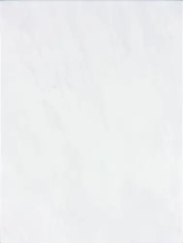 Rako Universal WATG6024 19,8x24,8