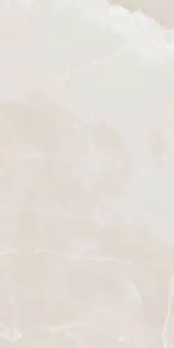 ECCENTRIC LUXE CLOUDY WHITE COM RT (779265) 60х120