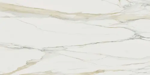 Calacatta Gold Matte 60x120 Ret 10 матовый