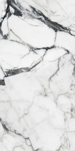 Bijoux Calacatta Altissimo Blanc Gloss 60x120