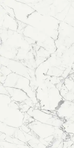 Rex Les Origenes De Blanc Glo R 120x280