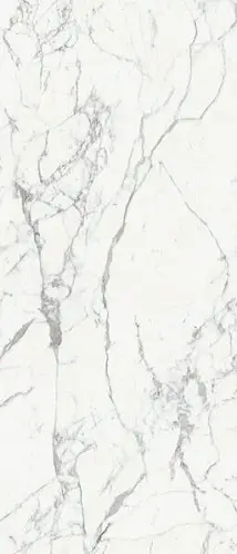 Rex Les Origenes De Blanc Mat R 120x280