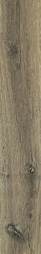Rex Planches Noisette 20x120