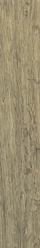 Rex Planches Noisette Strutturato 20x120