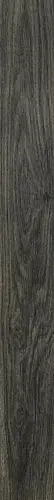 Rex Planches Choco 20x180