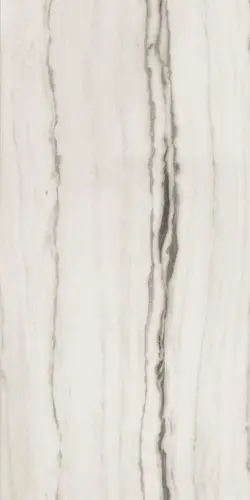 Prexious White Fantasy Matt 30x60