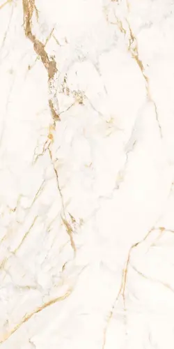 Керамогранит TWS CALACATTA ORO LX RT 59,6x119,2