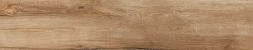 Daring Nut 24x120