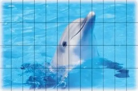 FS014 Fotosera F08 12,5х25 (150х100)