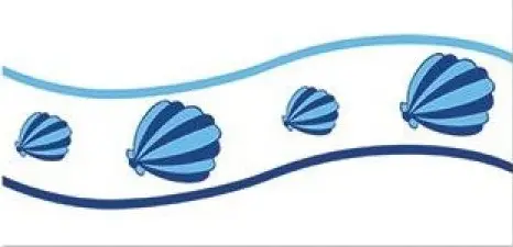 80002 Oyster Border 12,5х25