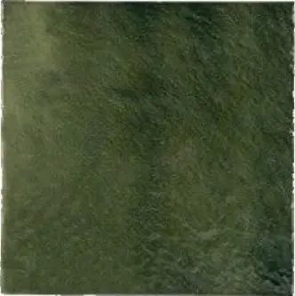 25402 Agora Relief Green 25х25