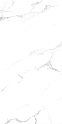 Siena Granito Bianco Carrara 60x120
