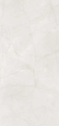 Керамогранит Ceramics Prozzo Rejoice PG Prozzo 1165 3pc 60х120