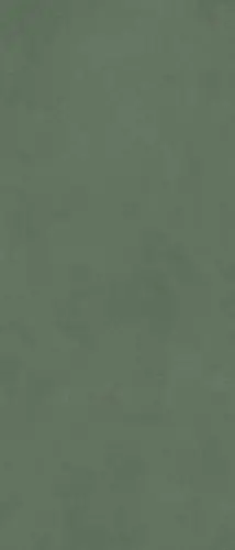 Керамогранит Ceramics Spectra Scs Herbs Gv 120х278х6