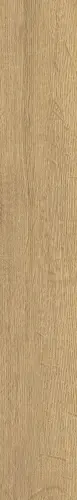 Керамогранит SGR29 Aurevia Gold 9.2х60