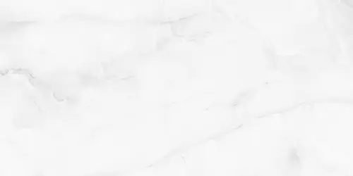 Palacio Antisky Grey light Polished 60х120