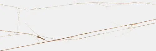 Декор керамогранит StaroTech Слэб Polished Spider Brown
