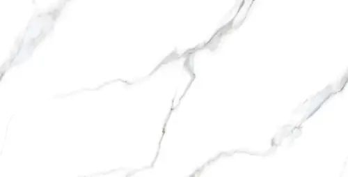 Керамогранит Statuario Carvino Matt 60х120