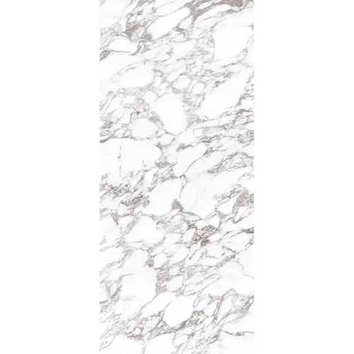Керамический слэб С0005780 Arabescato Oscuro Elegance Polished 120х280 белый полированный под камень