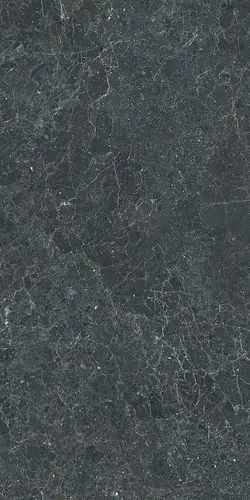 Керамогранит P.E. 3DB Charisma Black Mt 60x120 rect Stylnul матовый 925977