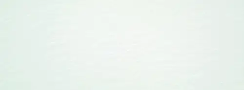 Japon Aral White Matt Rect 33,3x90