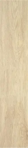 STN Tacora Beige Mt Rect. 22,7x119,5