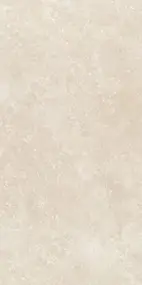 Керамогранит RAPOLANO ALMOND (6mm) (матовая) 120x280