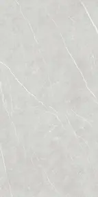Керамогранит ELITE SILVER (6mm) (матовая) 120x280