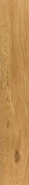 Tau Ragusa Camel 20x120