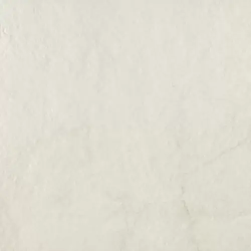 Керамогранит P-Organic Matt white STR 59,8х59,8