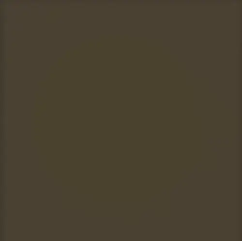Плитка Pastel Brzowy Mat 20х20