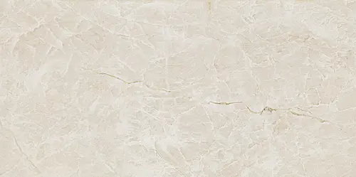 Керамогранит Root Ivory Mat 119.8х59.8