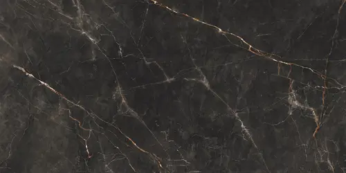Shinestone Black Pol 119.8x274.8