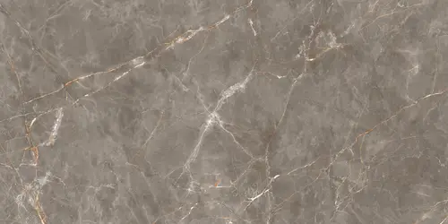 Shinestone Grey Pol 119.8x239.8