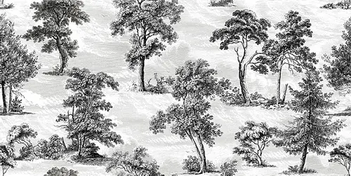 Керамогранит VALLELUNGA DECORANDUM Saltus 50х100