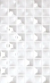 Venis Dual Bianco 20x33,3
