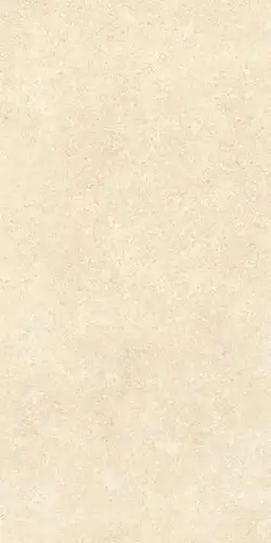 K948598R0001VTER SandStone Песочный Мат R10A 60x120