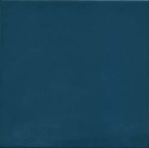 Vives Azul 20x20