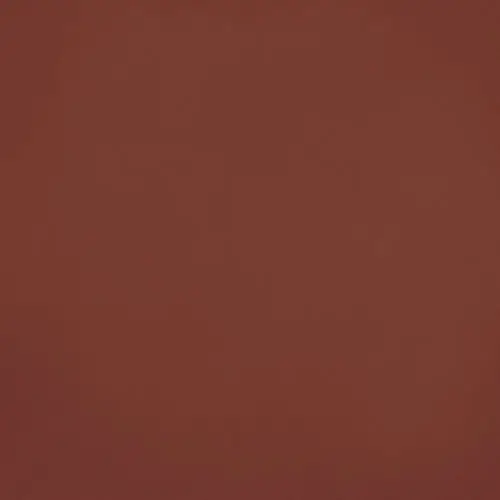 Vives Barnet Terra 31,6x31,6